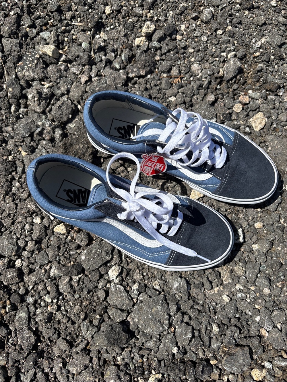 Vans Old Skool Sneakers in Navy and Light Blue